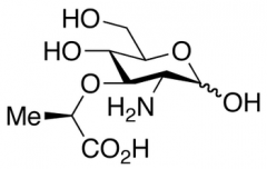 Muramic Acid