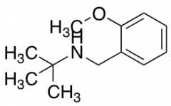 N-(2-Methoxyphenylmethyl)tert-butylamine