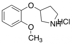 3-(2-Methoxyphenoxy)pyrrolidine Hydrochloride