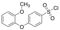 4-(2-Methoxyphenoxy)Benzenesulfonyl Chloride