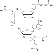 NAADP-AM (technical grade)