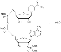 &beta;-NADPH Tetrasodium Salt Hydrate