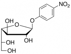 4-Nitrophenyl &beta;-D-Galactofuranoside