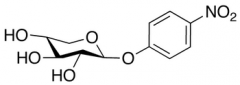 p-Nitrophenyl &beta;-D-Xylopyranoside