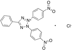 2,3-bis(4-Nitrophenyl)-5-phenyltetrazolium Chloride