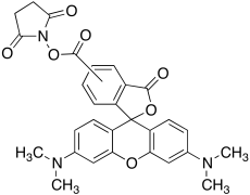 NHS-5(6)Carboxyrhodamine (Mixture of 2 Isomers)