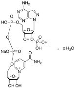 &beta;-Nicotinamide Adenine Dinucleotide Phosphate Sodium Salt Hydrate (~90%)