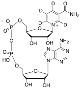 &beta;-Nicotinamide Adenine Dinucleotide-d4 (major)