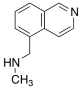 N-(Isoquinolin-5-ylmethyl)-N-methylamine