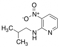 N-isobutyl-3-nitro-2-pyridinamine