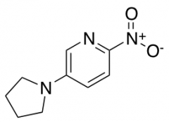 2-nitro-5-(pyrrolidin-1-yl)pyridine