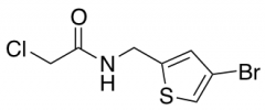 N-[(4-bromothiophen-2-yl)methyl]-2-chloroacetamide