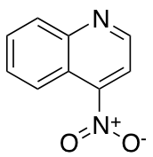 4-nitroquinoline