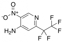 5-Nitro-2-(pentafluoroethyl)pyridin-4-amine