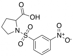 1-[(3-Nitrophenyl)sulfonyl]proline