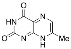 7-Methyl Lumazine