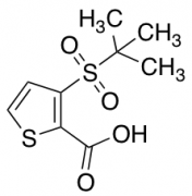 3-(2-Methyl-propane-2-sulfonyl)-thiophene-2-carboxylicacid