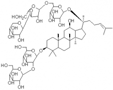 人参皂苷Ra3对照品