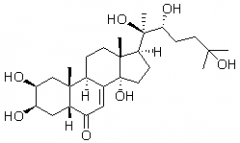蜕皮激素（β-蜕皮激素；β-蜕皮甾酮；20-羟基蜕皮甾酮）对照品