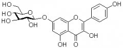 山奈酚-7-O-葡萄糖苷（山柰酚-7-O-葡萄糖苷;山奈酚-7-O-β-D-葡萄糖苷）对