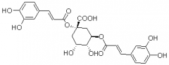 1,3-二咖啡酰奎宁酸（洋蓟素;朝鲜蓟酸;朝蓟素;菜蓟素）对照品