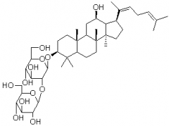 人参皂苷Rg5对照品