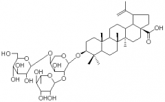 羽扇豆酸-3-[D-葡萄糖(1→4)[L-鼠李糖)(1→2)-L-阿拉伯糖苷]对照品