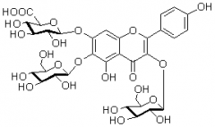 6-羟基山奈酚-3,6-O-二葡萄糖-7-O-葡萄糖醛酸苷对照品