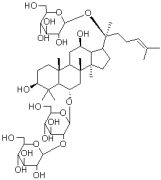 人参皂苷Rd对照品